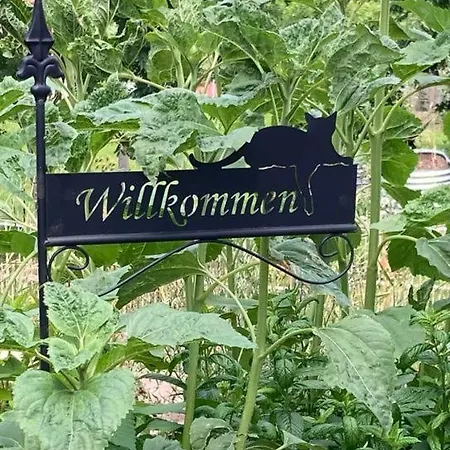 Am Kinzigberg 5 Lejlighed