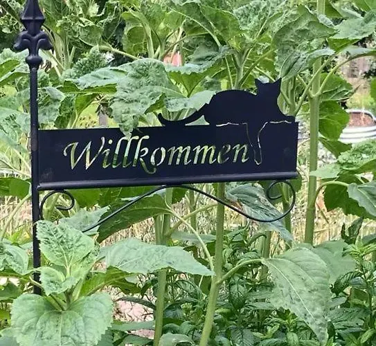 Am Kinzigberg 5 公寓